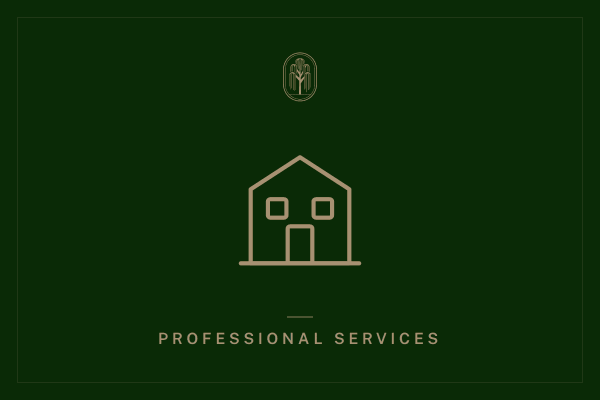 Buying into a professional practice